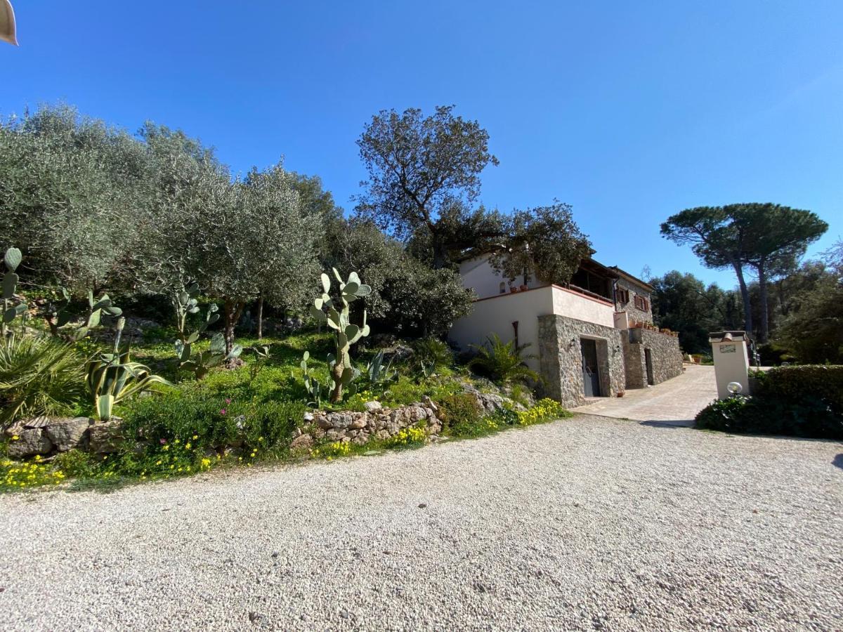 Villa Paradisino Orbetello Zewnętrze zdjęcie