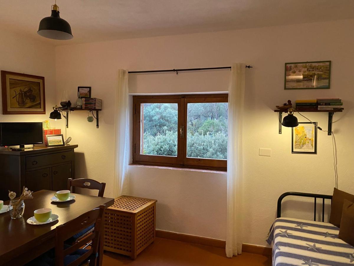Villa Paradisino Orbetello Zewnętrze zdjęcie