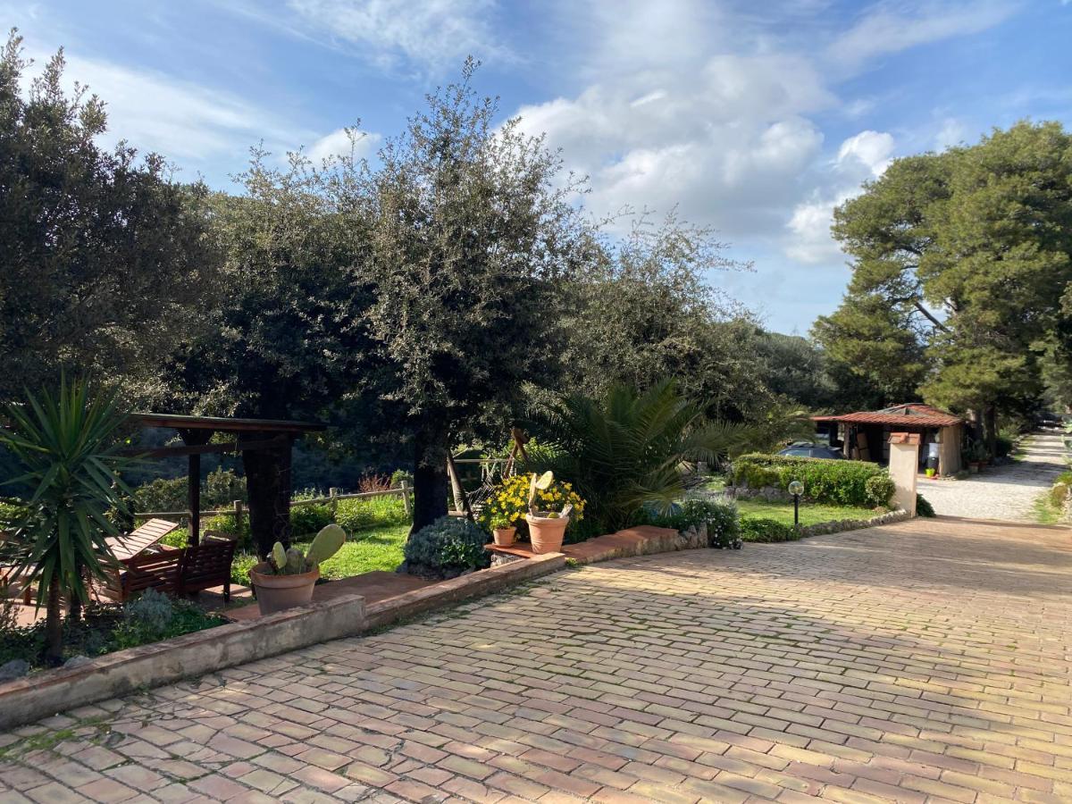 Villa Paradisino Orbetello Zewnętrze zdjęcie