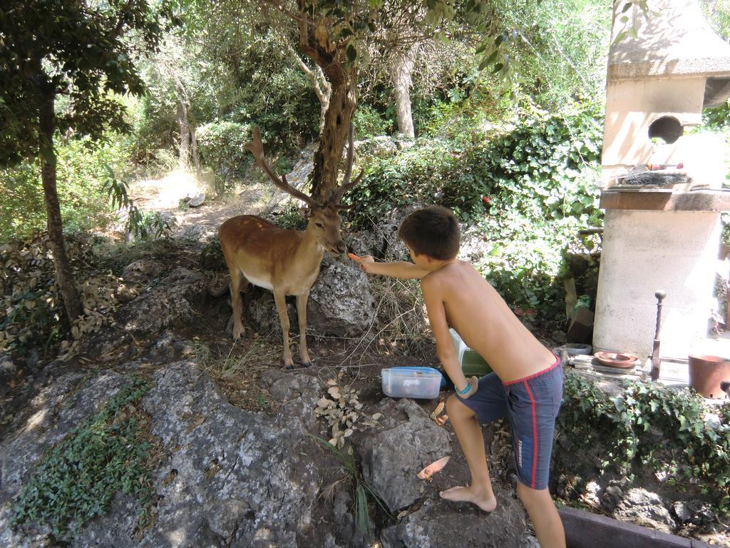 Villa Paradisino Orbetello Pokój zdjęcie